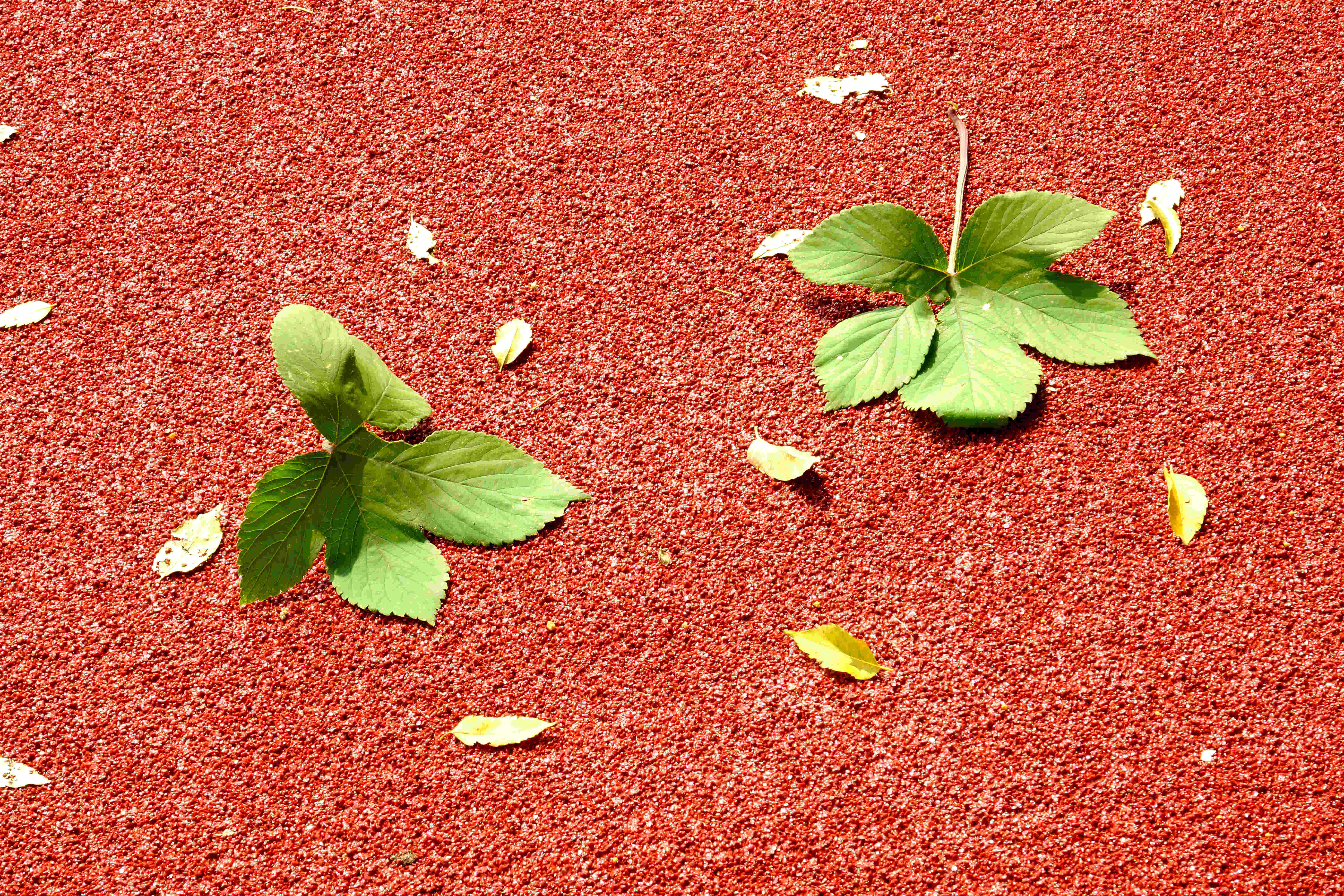 彩色防滑路面粘合剂